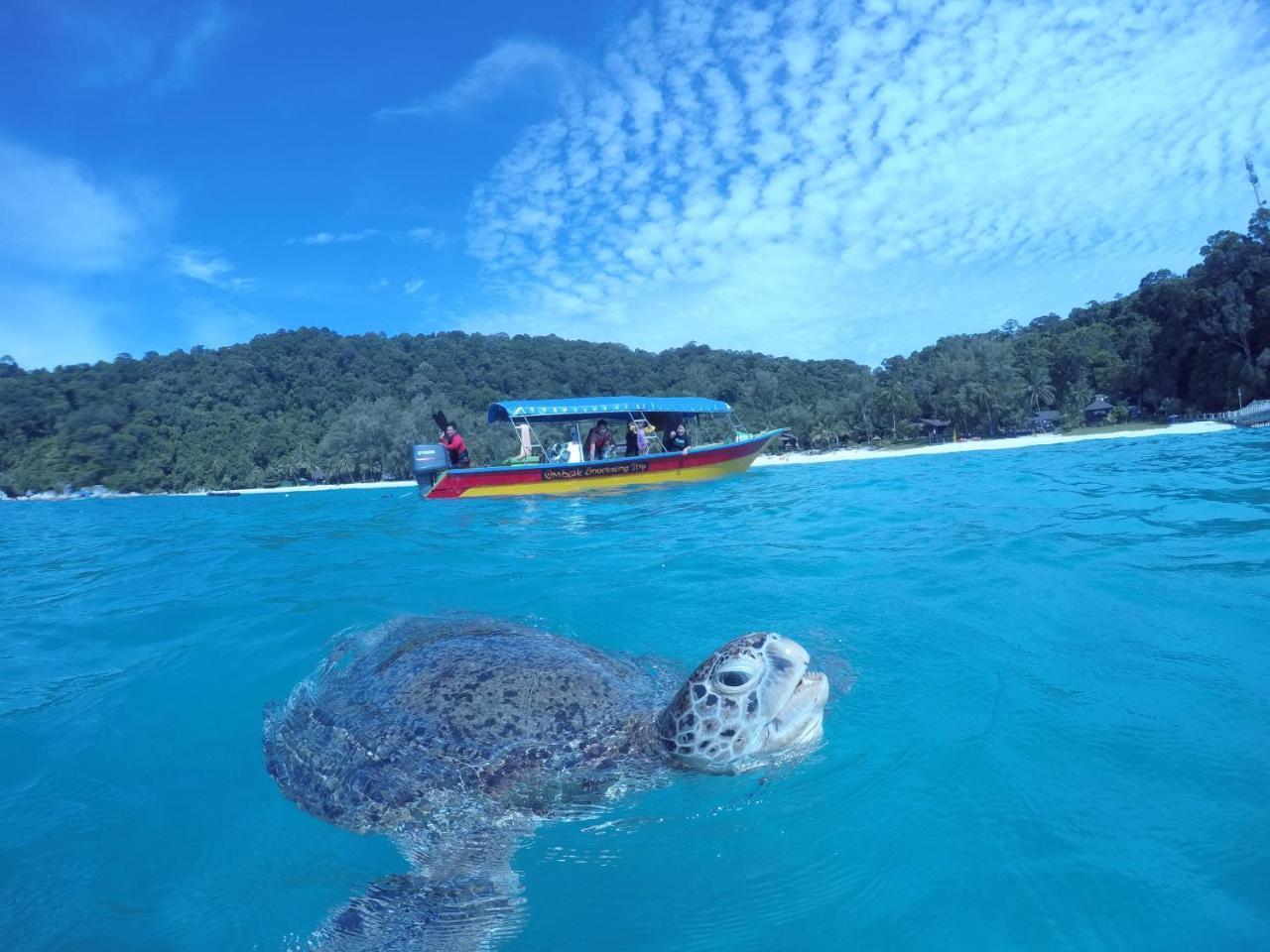 Ombak Dive Resort Perhentian Island Pulau Perhentian Kecil Экстерьер фото
